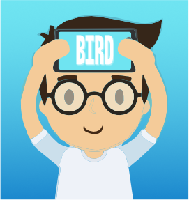 Made A Language Learning Charades Game